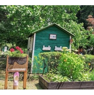 Przedszkole nr 135 w kwiatach!